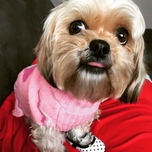 Meet your Posher, Latoya